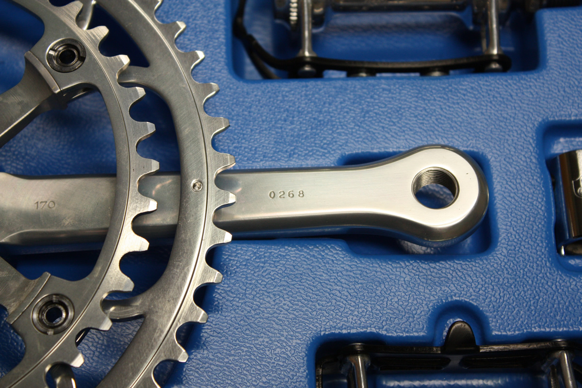 campagnolo group